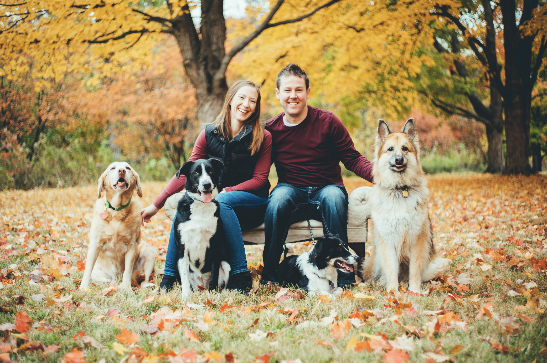 bright coral creative Fall Portraits Dog Lover Family